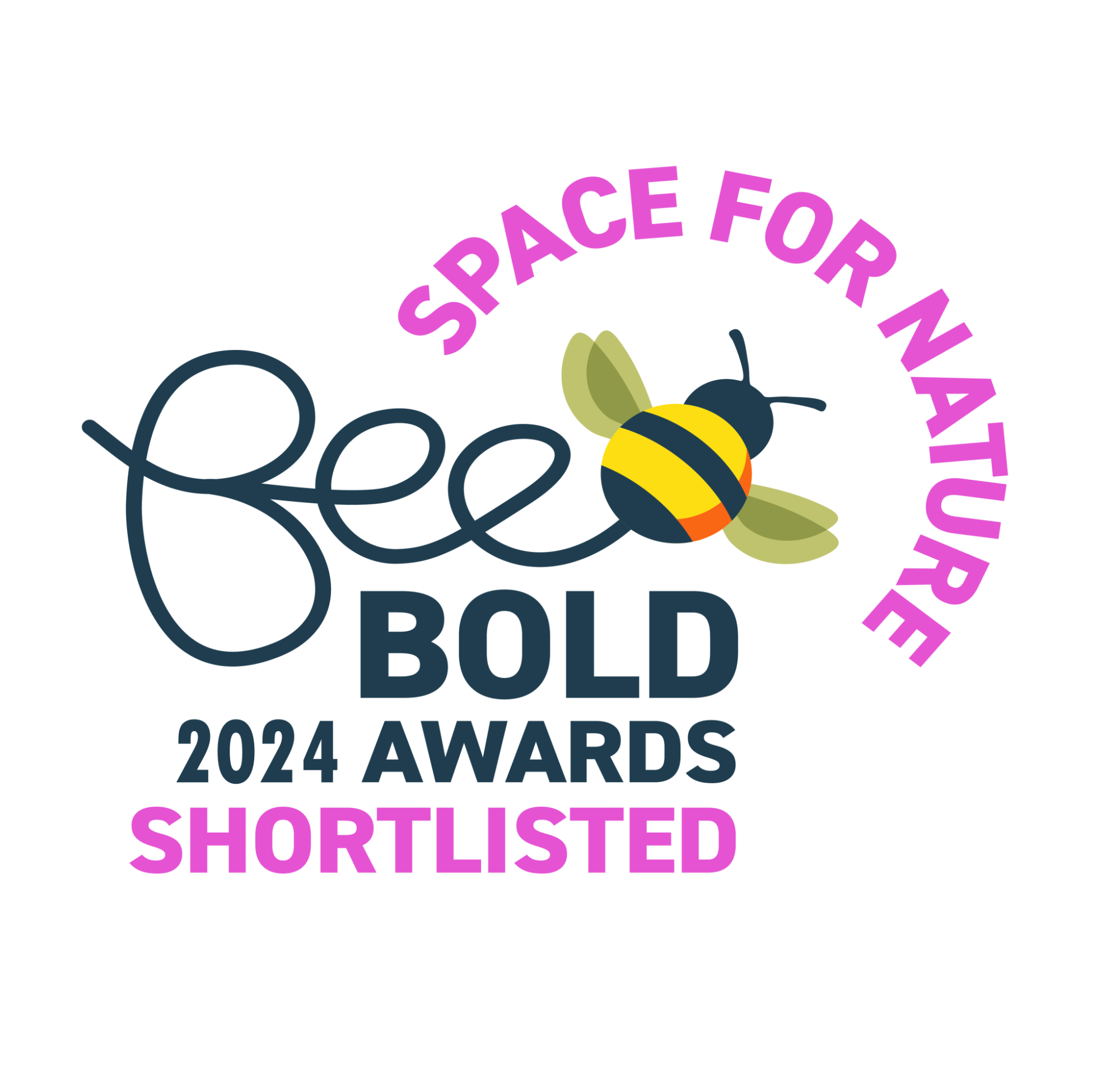 Bee Bold Award